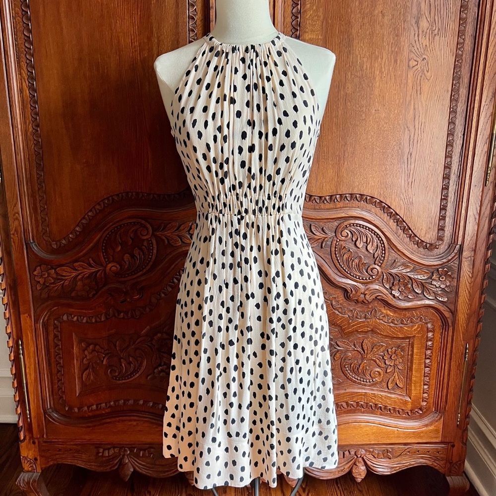 Kate Spade ‘Leopard Dot’ Dress (Cream, Size 00)